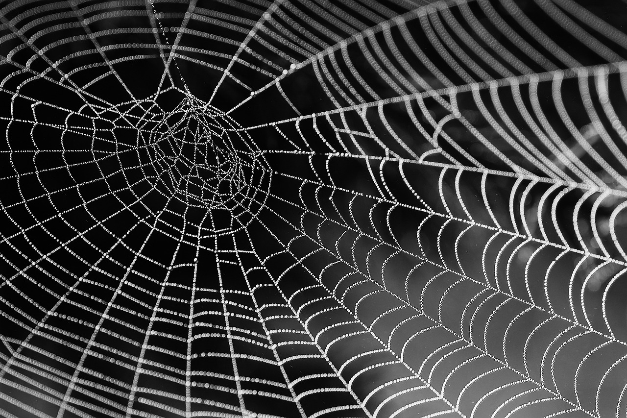 sieć pająka czyli crawlowanie internetu